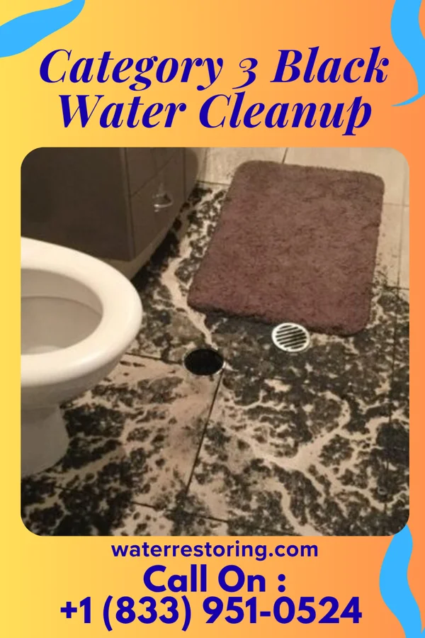 Category 3 Black Water Cleanup in Ridgetop, TN