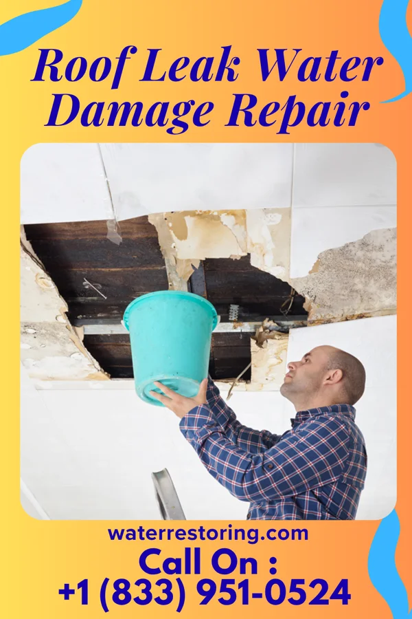 Roof Leak Water Damage Repair in Ridgetop, TN