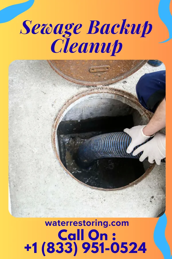 Sewage Backup Cleanup in Ridgetop, TN